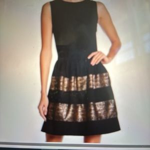 Bar III Black Dress with Gold Stripes